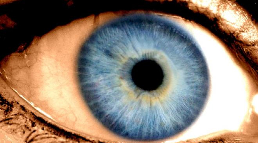 Por que os olhos humanos não podem ver luz infravermelha?